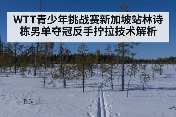 WTT青少年挑战赛新加坡站林诗栋男单夺冠反手拧拉技术解析